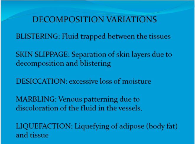 description of decomp